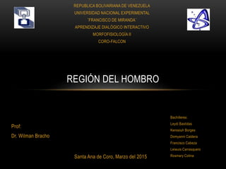 REPUBLICA BOLIVARIANA DE VENEZUELA
UNIVERSIDAD NACIONAL EXPERIMENTAL
¨FRANCISCO DE MIRANDA¨
APRENDIZAJE DIALÓGICO INTERACTIVO
MORFOFISIOLOGÍA II
CORO-FALCON
REGIÓN DEL HOMBRO
Prof:
Dr. Wilman Bracho
Santa Ana de Coro, Marzo del 2015
Bachilleres:
Leydi Bastidas
Kenssiuh Borges
Domyanni Caldera
Francisco Cabeza
Leiwuis Carrasquero
Rosmary Colina
 