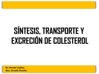 SÍNTESIS, TRANSPORTE Y
EXCRECIÓN DE COLESTEROL
Dr. Hernán Urgílez.
Msc. Ornella Portillo.
 