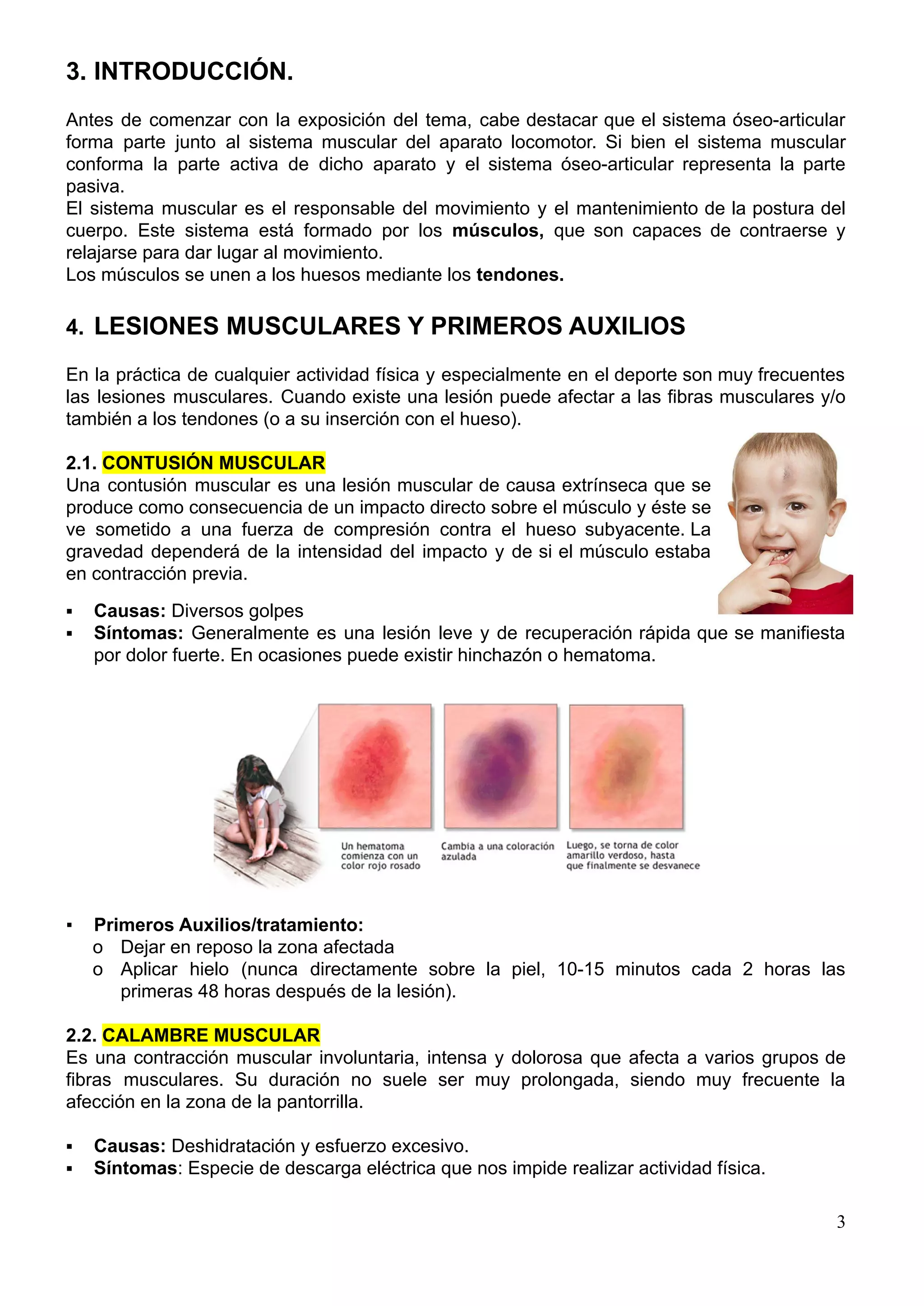Tema_10_Traumatismos Musculos.pdf