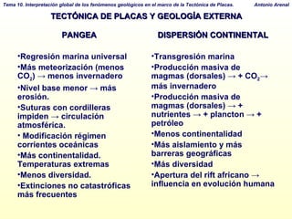 TECTÓNICA DE PLACAS Y GEOLOGÍA EXTERNA PANGEA Regresión marina universal Más meteorización (menos CO 2 )  ->  menos invernadero Nivel base menor  ->  más erosión. Suturas con cordilleras impiden  ->  circulación atmosférica. Modificación régimen corrientes oceánicas Más continentalidad. Temperaturas extremas Menos diversidad.  Extinciones no catastróficas más frecuentes DISPERSIÓN CONTINENTAL Transgresión marina Producción masiva de magmas (dorsales)  -> + CO 2 -> más invernadero Producción masiva de magmas (dorsales)  -> + nutrientes -> + plancton -> + petróleo Menos continentalidad  Más aislamiento y más barreras geográficas Más diversidad Apertura del rift africano -> influencia en evolución humana 