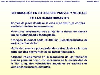 DEFORMACIÓN EN LOS BORDES PASIVOS Y NEUTROS. FALLAS TRANSFORMANTES Bordes de placa donde ni se crea ni se destruye corteza oceánica: límites transcurrentes. Fracturas perpendiculares al eje de la dorsal de hasta 5 km de profundidad y fondo plano. Rompen la dorsal cada 50-100 km. Desplazamientos de varios cientos de km Actividad sísmica poco profunda casi exclusiva a la zona entre los dos segmentos de la dorsal fracturada. Origen: Posiblemente en la resolución de las tensiones que se generan como consecuencia de la esfericidad de la Tierra: iguales velocidades angulares se traducen en velocidades lineales distintas. 