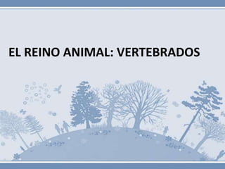 EL REINO ANIMAL: VERTEBRADOS
 