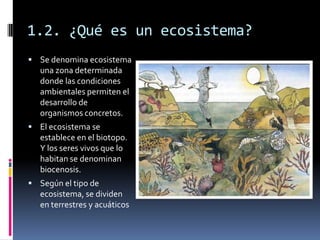 ECOSISTEMAS