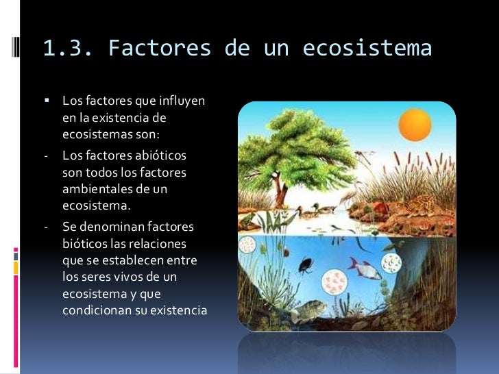Ecosistemas