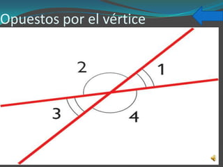 Opuestos por el vértice
 