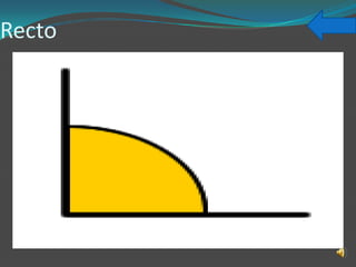 Recto
 