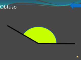 Obtuso
 