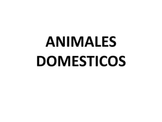 ANIMALES
DOMESTICOS
 