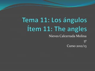 Nieves Calcerrada Molina
                       5º
            Curso 2012/13
 