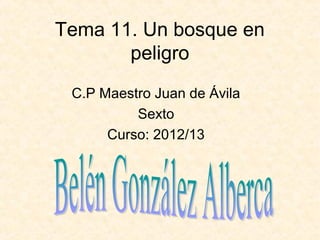 Tema 11. Un bosque en
peligro
C.P Maestro Juan de Ávila
Sexto
Curso: 2012/13
 