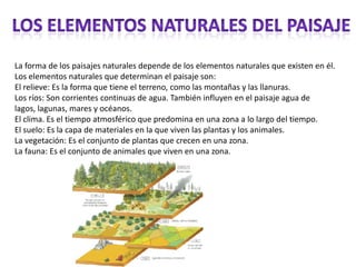 La forma de los paisajes naturales depende de los elementos naturales que existen en él.
Los elementos naturales que determinan el paisaje son:
El relieve: Es la forma que tiene el terreno, como las montañas y las llanuras.
Los ríos: Son corrientes continuas de agua. También influyen en el paisaje agua de
lagos, lagunas, mares y océanos.
El clima. Es el tiempo atmosférico que predomina en una zona a lo largo del tiempo.
El suelo: Es la capa de materiales en la que viven las plantas y los animales.
La vegetación: Es el conjunto de plantas que crecen en una zona.
La fauna: Es el conjunto de animales que viven en una zona.
 