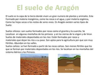 El suelo es la capa de la tierra donde viven un gran numero de plantas y animales. Esta
Formado por materia inorgánica, como las rocas o el agua, y por materia orgánica,
Como las hojas secas o los restos de seres vivos. En Aragón existen varios tipos de
Suelo:
Suelos silíceos: son suelos formados por rocas como el granito y la cuarcita. Se
Localizan en algunas montañas de los pirineos y en las sierras de la virgen y de Vicor.
Suelos de materiales depositados en los ríos: Están formados por rocas y
materiales que dejan los ríos a su paso. Son aptos para la agricultura por que son muy
Fértiles. Abundan en los valles.
Suelos calizos: se han formado a partir de las rocas calizas. Son menos fértiles que los
que se forman por materiales depositados en los ríos. Se localizan en las montañas del
sistema ibérico y los Pirineos.
 