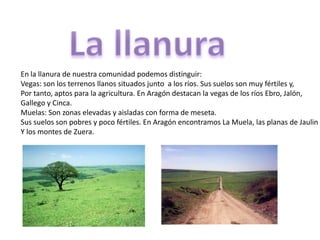 En la llanura de nuestra comunidad podemos distinguir:
Vegas: son los terrenos llanos situados junto a los ríos. Sus suelos son muy fértiles y,
Por tanto, aptos para la agricultura. En Aragón destacan la vegas de los ríos Ebro, Jalón,
Gallego y Cinca.
Muelas: Son zonas elevadas y aisladas con forma de meseta.
Sus suelos son pobres y poco fértiles. En Aragón encontramos La Muela, las planas de Jaulin
Y los montes de Zuera.
 