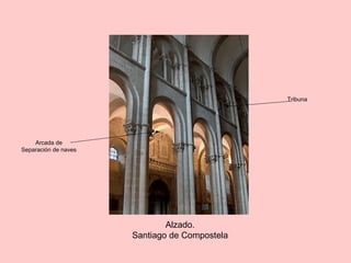 Alzado.
Santiago de Compostela
Arcada de
Separación de naves
Tribuna
 