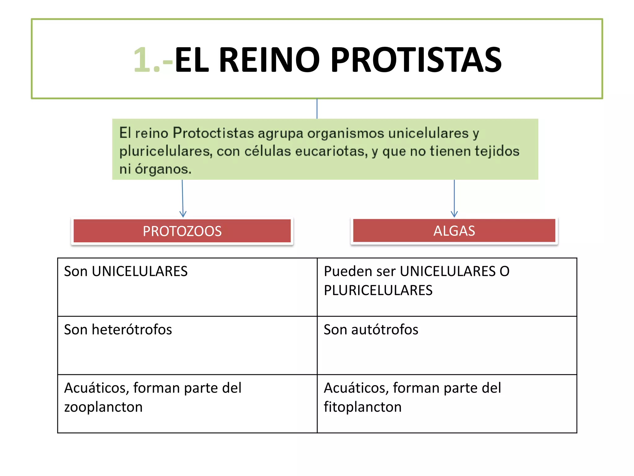 Tema11.1 eso (microorganismos) | PPTX