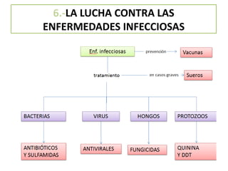 6.-LA LUCHA CONTRA LAS
ENFERMEDADES INFECCIOSAS
 