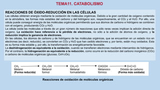 REACCIONES DE ÓXIDO-REDUCCIÓN EN LAS CÉLULAS
Las células obtienen energía mediante la oxidación de moléculas orgánicas. Debido a la gran cantidad de oxigeno contenido
en la atmósfera, las formas más estables del carbono y del hidrógeno son, respectivamente, el CO2 y el H2O. Por ello, una
célula puede conseguir energía de las moléculas orgánicas permitiendo que sus átomos de carbono e hidrógeno se combinen
con el oxígeno, produciendo CO2 y H2O.
La célula oxida las moléculas a través de un gran número de reacciones que sólo raras veces implican la adición directa de
oxígeno. La oxidación hace referencia a la pérdida de electrones, no sólo a la adición de átomos de oxígeno, y la
reducción implica la ganancia de electrones.
En las células, los átomos de carbono y de hidrógeno de las moléculas orgánicas, que se encuentran en un estado rico en
electrones (es decir, reducido), se convierten en CO2 y H2O que han cedido electrones y, por tanto, están muy oxidados. Esta
es su forma más estable y, por ello, la transformación es energéticamente favorable.
La deshidrogenación es equivalente a la oxidación, cuando se transfieren electrones mediante intercambio de hidrógenos.
Por el contrario, la hidrogenación es equivalente a la reducción, como ocurre en la reducción del carbono inorgánico (CO2)
a carbono de moléculas orgánicas (glucosa, C6H12O6).
Reacciones de oxidación de moléculas orgánicas
 