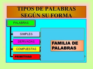 PRIMITIVAS
FAMILIA DE
PALABRAS
 