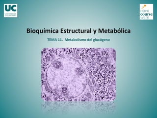TEMA	
  11.	
  	
  Metabolismo	
  del	
  glucógeno	
  
Bioquímica	
  Estructural	
  y	
  Metabólica	
  
 