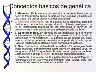 Conceptos básicos de genética
• 1. Genética. Es la ciencia que estudia la herencia biológica, es
decir, la transmisión de los caracteres morfológicos y fisiológicos
que pasan de un ser vivo a sus descendientes.
• 2. Genética mendeliana. Es el estudio de la herencia biológica
mediante experimentos de reproducción. Intenta averiguar cuál
es la información biológica de los individuos a partir de las
proporciones matemáticas en que se hereda cada carácter.
• 3. Genética molecular. Estudio de las moléculas que contienen
la información biológica y de los procesos bioquímicos de su
transmisión y manifestación. El sentido de su estudio es, pues,
inverso al de la genética mendeliana. A partir de la información
(ácidos nucleicos) se deduce cómo serán los caracteres.
• 4. Gen. Es la unidad del material hereditario. Es un fragmento de
ácido nucleico, generalmemte ADN (salvo en algunos virus, en
los que es el ARN), que lleva la información para un carácter.
Corresponde a lo que Mendel denominó factor hereditario.
• 5. Carácter. Cada una de las particularidades morfológicas o
fisiológicas de un ser vivo; por ejemplo, ojos azules, pelo liso,
presencia de enzima amilasa en la saliva, etc.
 