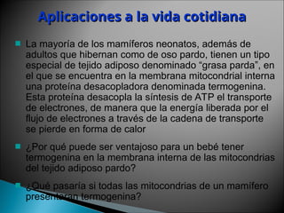 Tema 11. Mitocondrias y respiración 14-15.ppt