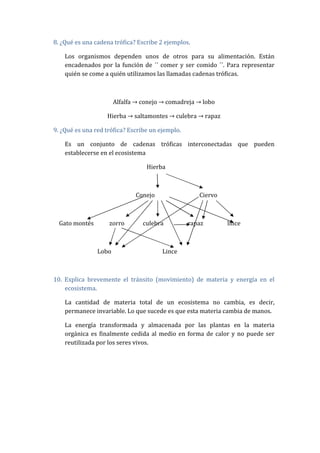 8. ¿Qué es una cadena trófica? Escribe 2 ejemplos.

    Los organismos dependen unos de otros para su alimentación. Están
    encadenados por la función de ´´ comer y ser comido ´´. Para representar
    quién se come a quién utilizamos las llamadas cadenas tróficas.



                       Alfalfa → conejo → comadreja → lobo

                   Hierba → saltamontes → culebra → rapaz

9. ¿Qué es una red trófica? Escribe un ejemplo.

    Es un conjunto de cadenas tróficas interconectadas que pueden
    establecerse en el ecosistema

                                  Hierba



                              Conejo                 Ciervo



  Gato montés       zorro        culebra          rapaz       lince



                Lobo                    Lince



10. Explica brevemente el tránsito (movimiento) de materia y energía en el
    ecosistema.

    La cantidad de materia total de un ecosistema no cambia, es decir,
    permanece invariable. Lo que sucede es que esta materia cambia de manos.

    La energía transformada y almacenada por las plantas en la materia
    orgánica es finalmente cedida al medio en forma de calor y no puede ser
    reutilizada por los seres vivos.
 