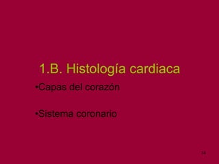 1.B. Histología cardiaca Capas del corazón Sistema coronario 