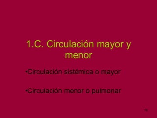 1.C. Circulación mayor y menor Circulación sistémica o mayor Circulación menor o pulmonar 
