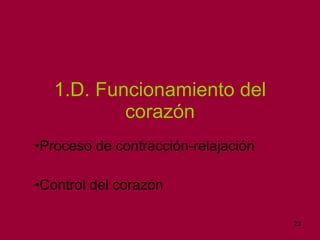 1.D. Funcionamiento del corazón Proceso de contracción-relajación Control del corazón 