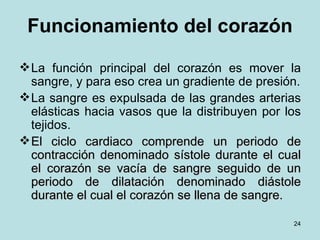 Funcionamiento del corazón La función principal del corazón es mover la sangre, y para eso crea un gradiente de presión. La sangre es expulsada de las grandes arterias elásticas hacia vasos que la distribuyen por los tejidos. El ciclo cardiaco comprende un periodo de contracción denominado sístole durante el cual el corazón se vacía de sangre seguido de un periodo de dilatación denominado diástole durante el cual el corazón se llena de sangre.   