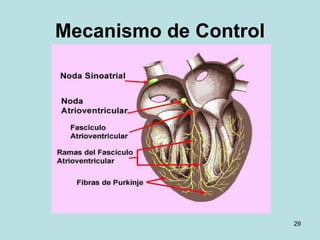 Mecanismo de Control 