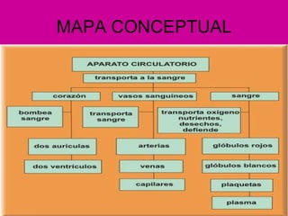 MAPA CONCEPTUAL 