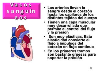 Las arterias llevan la sangre desde el corazón hasta los capilares de los distintos tejidos del cuerpo Tienen una capa muscular muy desarrollada que permite el control del flujo y la presión  Son muy elásticas. Esta elasticidad convierte el flujo a impulsos del corazón en flujo continuo En los primeros tramos son bastante gruesas para soportar la presión Vasos sanguíneos 