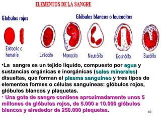 La  sangre es un tejido líquido, compuesto por  agua  y sustancias orgánicas e inorgánicas ( sales minerales ) disueltas, que forman el  plasma sanguíneo  y tres tipos de elementos formes o células sanguíneas: glóbulos rojos, glóbulos blancos y plaquetas. Una gota de sangre contiene aproximadamente unos 5 millones de glóbulos rojos, de 5.000 a 10.000 glóbulos blancos y alrededor de 250.000 plaquetas. 