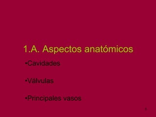 1.A. Aspectos anatómicos Cavidades Válvulas Principales vasos 