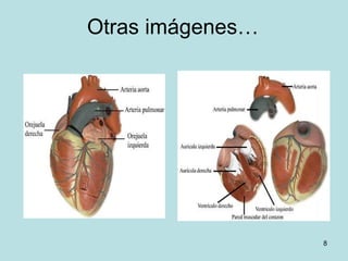 Otras imágenes… 