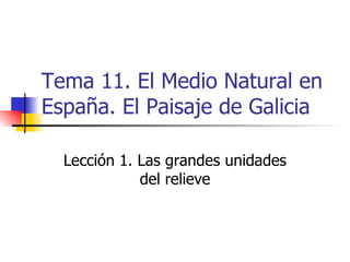 Tema 11. El Medio Natural en España. El Paisaje de Galicia Lección 1. Las grandes unidades del relieve 