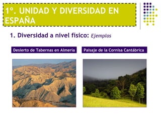 1º. UNIDAD Y DIVERSIDAD EN ESPAÑA 1. Diversidad a nivel físico:  Ejemplos   Desierto de Tabernas en Almería Paisaje de la Cornisa Cantábrica  