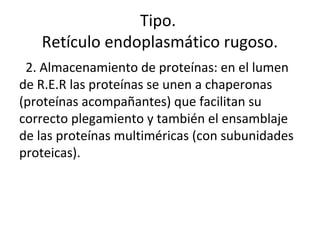 2. Almacenamiento de proteínas: en el lumen
de R.E.R las proteínas se unen a chaperonas
(proteínas acompañantes) que facilitan su
correcto plegamiento y también el ensamblaje
de las proteínas multiméricas (con subunidades
proteicas).
Tipo.
Retículo endoplasmático rugoso.
 
