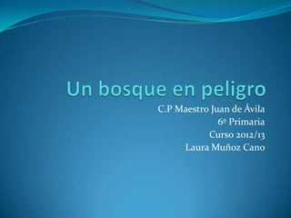 C.P Maestro Juan de Ávila
6º Primaria
Curso 2012/13
Laura Muñoz Cano
 