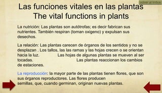 volver al índice
Las funciones vitales en las plantas
    The vital functions in plants
La nutrición: Las plantas son autótrofas; es decir fabrican sus
nutrientes. También respiran (toman oxigeno) y expulsan sus
desechos.

La relación: Las plantas carecen de órganos de los sentidos y no se
desplazan . Los tallos, las las ramas y las hojas crecen o se orientan
hacia la luz.         Las hojas de algunas plantas se mueven al ser
tocadas.                          Las plantas reaccionan los cambios
de estaciones.

La reproducción: la mayor parte de las plantas tienen flores, que son
sus órganos reproductores. Las flores producen
semillas, que, cuando germinan, originan nuevas plantas.
                                                                         01/10/2012
 