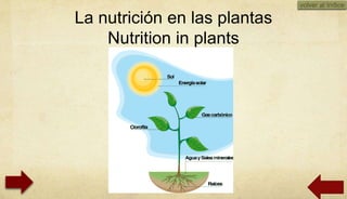 volver al índice

La nutrición en las plantas
    Nutrition in plants




                                    01/10/2012
 