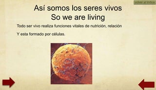 volver al índice

          Así somos los seres vivos
               So we are living
Todo ser vivo realiza funciones vitales de nutrición, relación

Y esta formado por células.
 