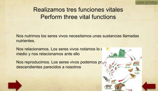 volver al índice

         Realizamos tres funciones vitales
           Perform three vital functions


Nos nutrimos los seres vivos necesitamos unas sustancias llamadas
nutrientes.

Nos relacionamos. Los seres vivos notamos lo que sucede en el
medio y nos relacionamos ante ello

Nos reproducimos. Los seres vivos podemos producir
descendientes parecidos a nosotros
 