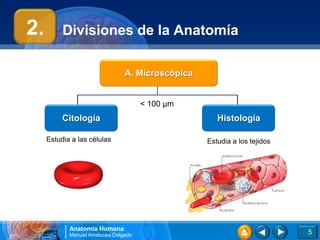 Anatomía Humana
Manuel Arrelucea Delgado
Divisiones de la Anatomía
5
Citología
A. Microscópica
Histología
2.
< 100 µm
Estudia a las células Estudia a los tejidos
 