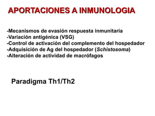 APORTACIONES A INMUNOLOGIA
-Mecanismos de evasión respuesta inmunitaria
-Variación antigénica (VSG)
-Control de activación del complemento del hospedador
-Adquisición de Ag del hospedador (Schistosoma)
-Alteración de actividad de macrófagos
Paradigma Th1/Th2 /Th17
 