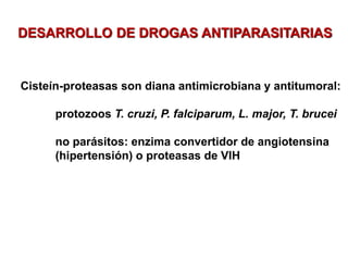 DESARROLLO DE DROGAS ANTIPARASITARIAS
Cisteín-proteasas son diana antimicrobiana y antitumoral:
protozoos T. cruzi, P. falciparum, L. major, T. brucei
no parásitos: enzima convertidor de angiotensina
(hipertensión) o proteasas de VIH
 