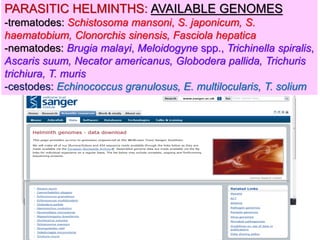 PARASITIC HELMINTHS: AVAILABLE GENOMES
-trematodes: Schistosoma mansoni, S. japonicum, S.
haematobium, Clonorchis sinensis, Fasciola hepatica
-nematodes: Brugia malayi, Meloidogyne spp., Trichinella spiralis,
Ascaris suum, Necator americanus, Globodera pallida, Trichuris
trichiura, T. muris
-cestodes: Echinococcus granulosus, E. multilocularis, T. solium
solo hay 15 genomas codificados de parasitos que
afectan a humanos.
 
