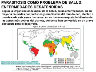 Según la Organización Mundial de la Salud, estas enfermedades, en su
mayoría causadas por parásitos y erradicadas del mundo rico, afectan a
uno de cada seis seres humanos, en su inmensa mayoría habitantes de
las zonas más pobres del planeta, donde se han convertido en un grave
obstáculo para el desarrollo.
https://www.youtube.com/watch?v=2u_qPN8lR98
https://www.youtube.com/watch?v=Rcm8xOXAJGg
PARASITOSIS COMO PROBLEMA DE SALUD:
ENFERMEDADES DESATENDIDAS
enfermedades desatendidas:
asociadas a pobreza
ambiente tropical
 