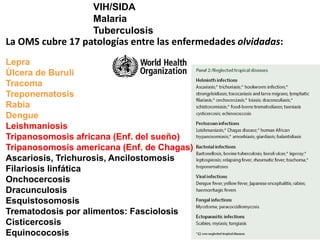 VIH/SIDA
Malaria
Tuberculosis
La OMS cubre 17 patologías entre las enfermedades olvidadas:
Lepra
Úlcera de Buruli
Tracoma
Treponematosis
Rabia
Dengue
Leishmaniosis
Tripanosomosis africana (Enf. del sueño)
Tripanosomosis americana (Enf. de Chagas)
Ascariosis, Trichurosis, Ancilostomosis
Filariosis linfática
Onchocercosis
Dracunculosis
Esquistosomosis
Trematodosis por alimentos: Fasciolosis
Cisticercosis
Equinococosis
 